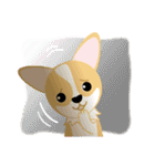 OLi Corgi's Life（個別スタンプ：36）