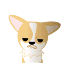 OLi Corgi's Life（個別スタンプ：37）
