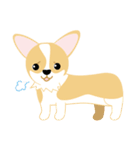 OLi Corgi's Life（個別スタンプ：39）