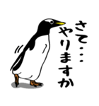 THE ペンギン（個別スタンプ：14）
