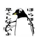 THE ペンギン（個別スタンプ：39）