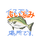 お魚好きのfish科目2（個別スタンプ：4）