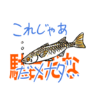 お魚好きのfish科目2（個別スタンプ：15）