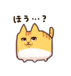 しかくい猫 ちゃとら（個別スタンプ：35）