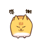 しかくい猫 ちゃとら（個別スタンプ：37）