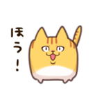 しかくい猫 ちゃとら（個別スタンプ：39）