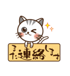 仲良し子猫♥ みけちゃん＆きゅーちゃん（個別スタンプ：19）
