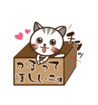 仲良し子猫♥ みけちゃん＆きゅーちゃん（個別スタンプ：28）