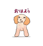 はこいりワンコのわんじゃまし（個別スタンプ：1）