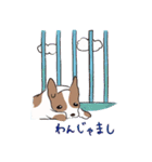 はこいりワンコのわんじゃまし（個別スタンプ：4）