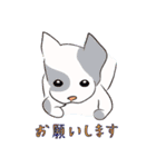 はこいりワンコのわんじゃまし（個別スタンプ：5）