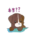 はこいりワンコのわんじゃまし（個別スタンプ：8）