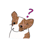 はこいりワンコのわんじゃまし（個別スタンプ：11）
