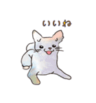 はこいりワンコのわんじゃまし（個別スタンプ：12）