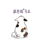 はこいりワンコのわんじゃまし（個別スタンプ：14）