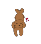 はこいりワンコのわんじゃまし（個別スタンプ：21）