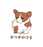 はこいりワンコのわんじゃまし（個別スタンプ：22）