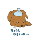 はこいりワンコのわんじゃまし（個別スタンプ：23）