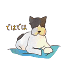 はこいりワンコのわんじゃまし（個別スタンプ：24）