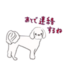 はこいりワンコのわんじゃまし（個別スタンプ：25）