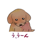 はこいりワンコのわんじゃまし（個別スタンプ：26）