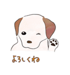 はこいりワンコのわんじゃまし（個別スタンプ：34）
