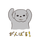 はこいりワンコのわんじゃまし（個別スタンプ：37）