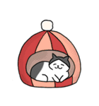 こじろーちゃんやで（個別スタンプ：1）