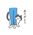 こじろーちゃんやで（個別スタンプ：5）