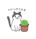 こじろーちゃんやで（個別スタンプ：6）
