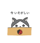 こじろーちゃんやで（個別スタンプ：22）