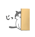 こじろーちゃんやで（個別スタンプ：23）