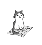 こじろーちゃんやで（個別スタンプ：33）