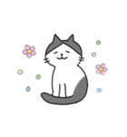 こじろーちゃんやで（個別スタンプ：34）