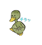 佐野どうぶつスタンプ（個別スタンプ：23）