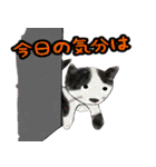佐野どうぶつスタンプ（個別スタンプ：27）