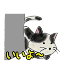 佐野どうぶつスタンプ（個別スタンプ：28）