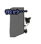 佐野どうぶつスタンプ（個別スタンプ：29）