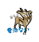 佐野どうぶつスタンプ（個別スタンプ：40）
