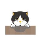 BeBeQ (ライスちゃん亂入)（個別スタンプ：17）