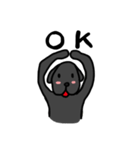 黒ラブちゃんのデイリーライフ！（個別スタンプ：1）