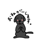 黒ラブちゃんのデイリーライフ！（個別スタンプ：5）