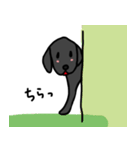 黒ラブちゃんのデイリーライフ！（個別スタンプ：20）