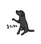 黒ラブちゃんのデイリーライフ！（個別スタンプ：32）