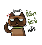 Cat's typed（個別スタンプ：5）