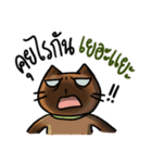 Cat's typed（個別スタンプ：6）