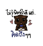 Cat's typed（個別スタンプ：9）