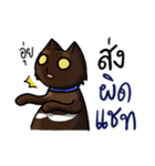 Cat's typed（個別スタンプ：12）