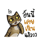 Cat's typed（個別スタンプ：13）
