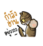 Cat's typed（個別スタンプ：14）